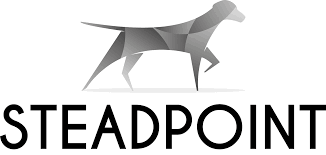 SteadPoint